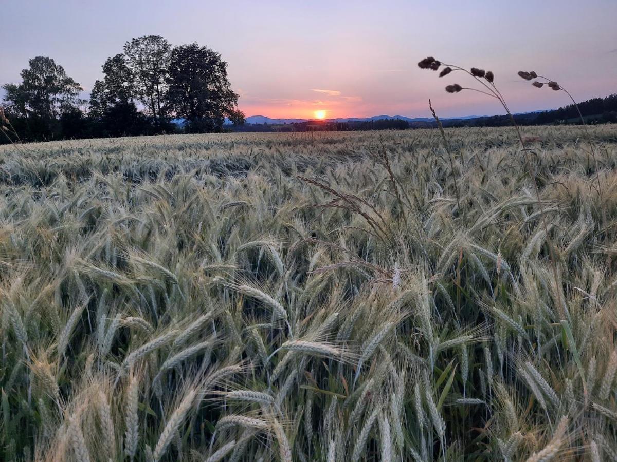 Grainmeisterhof Niederwaldkirchen Dış mekan fotoğraf