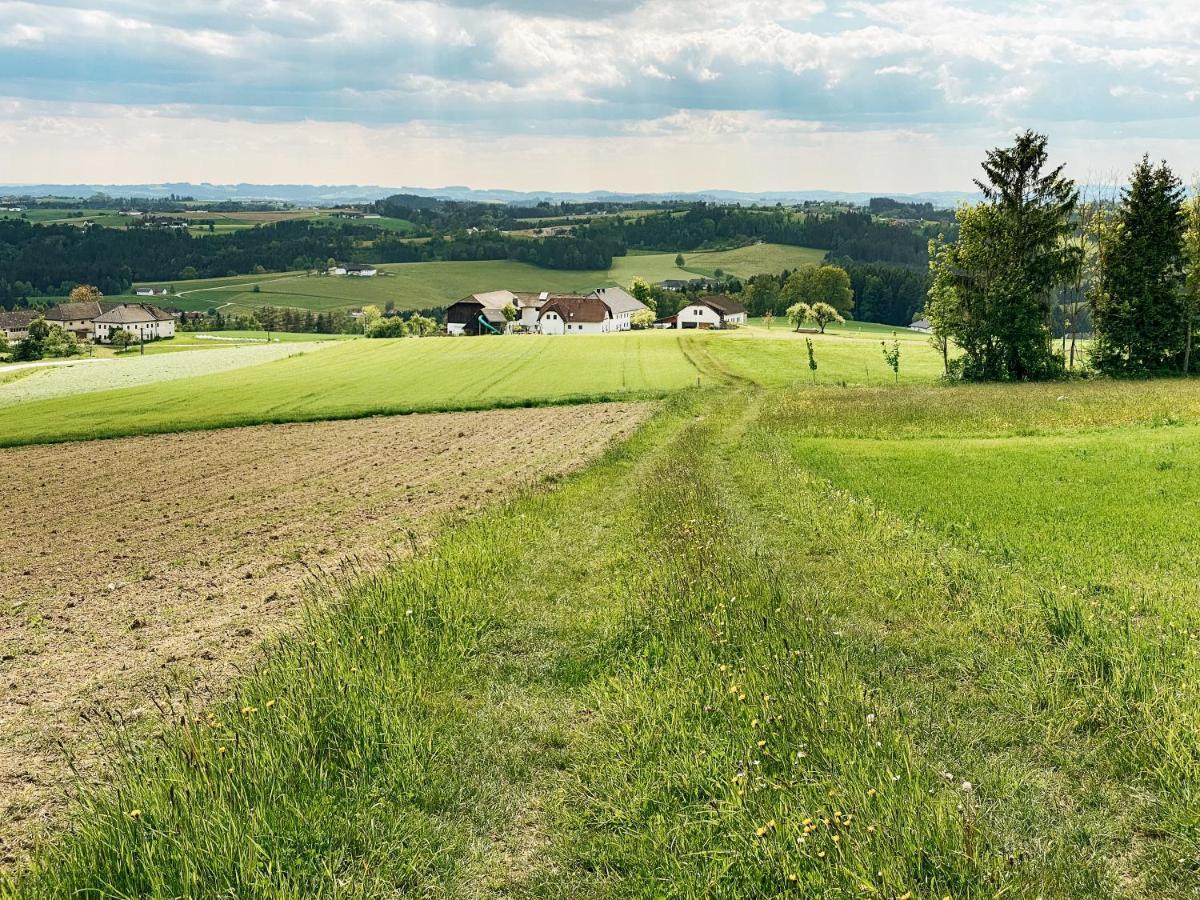 Grainmeisterhof Niederwaldkirchen Dış mekan fotoğraf