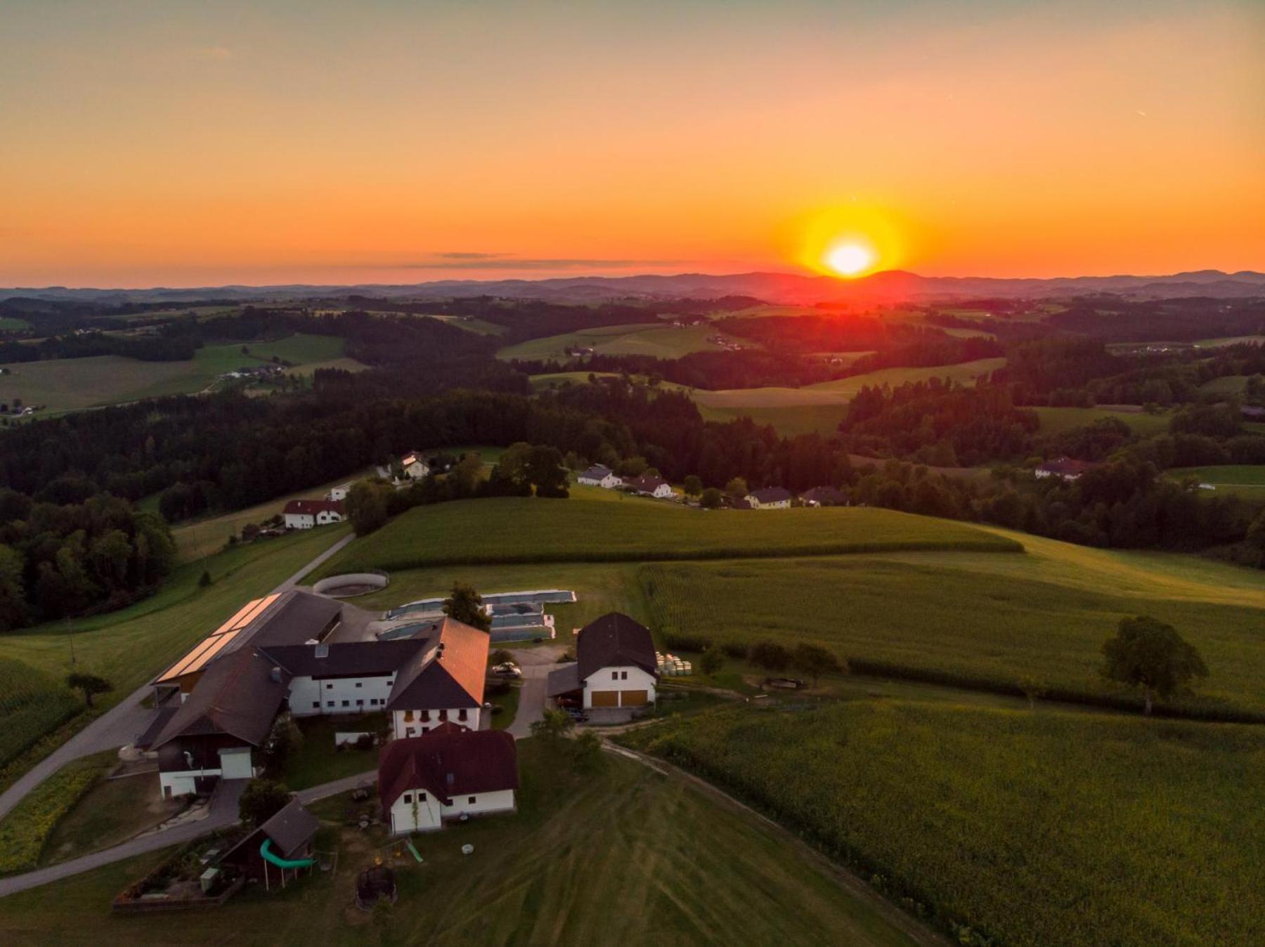 Grainmeisterhof Niederwaldkirchen Dış mekan fotoğraf